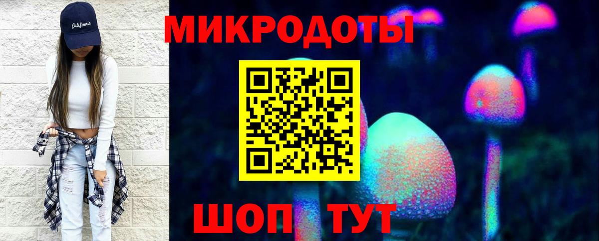 Выборг  Псилоцибиновые грибы MAGIC MUSHROOMS  Вход с VPN  Псилоцибиновые грибы Psilocybe 